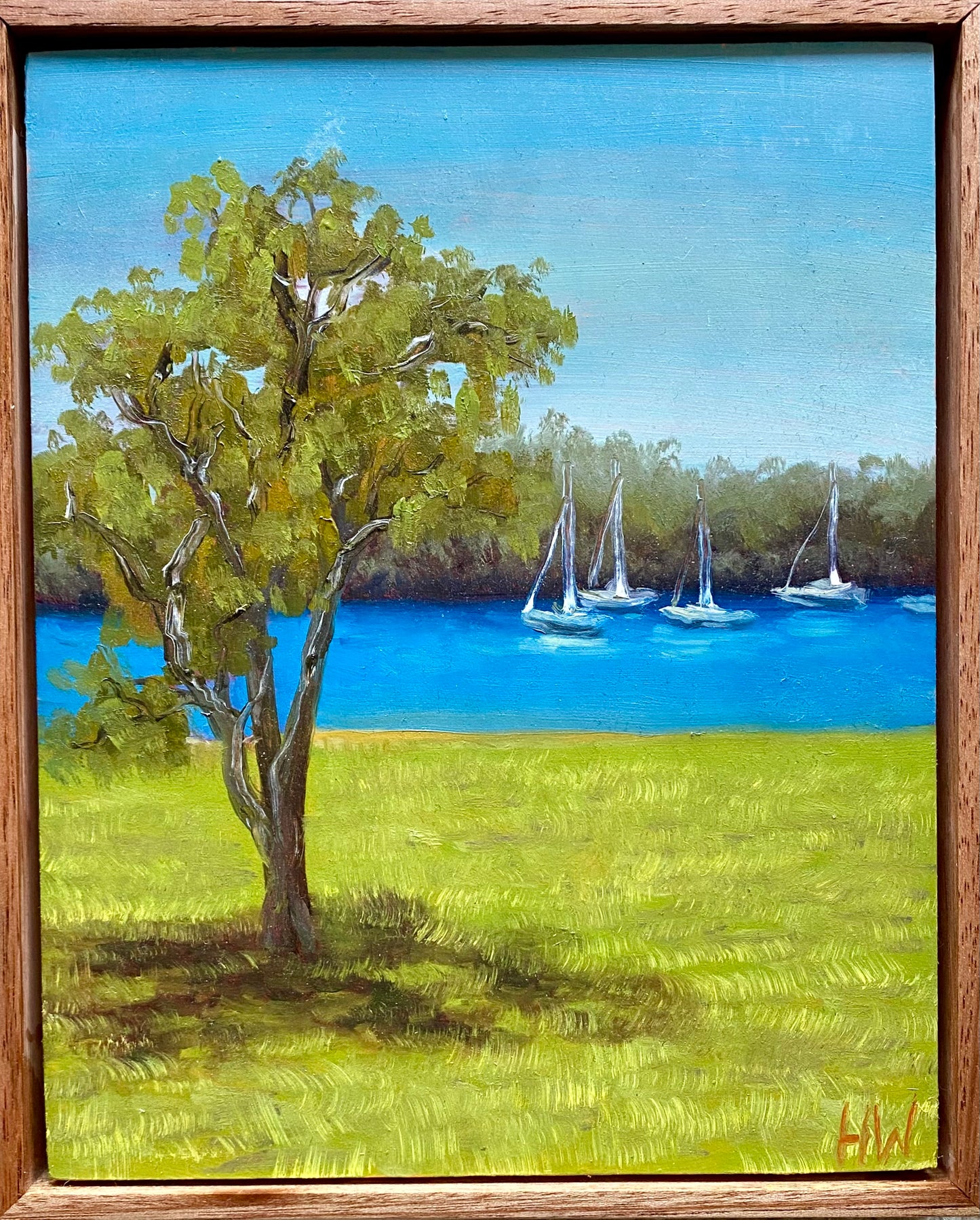Shimmering boats