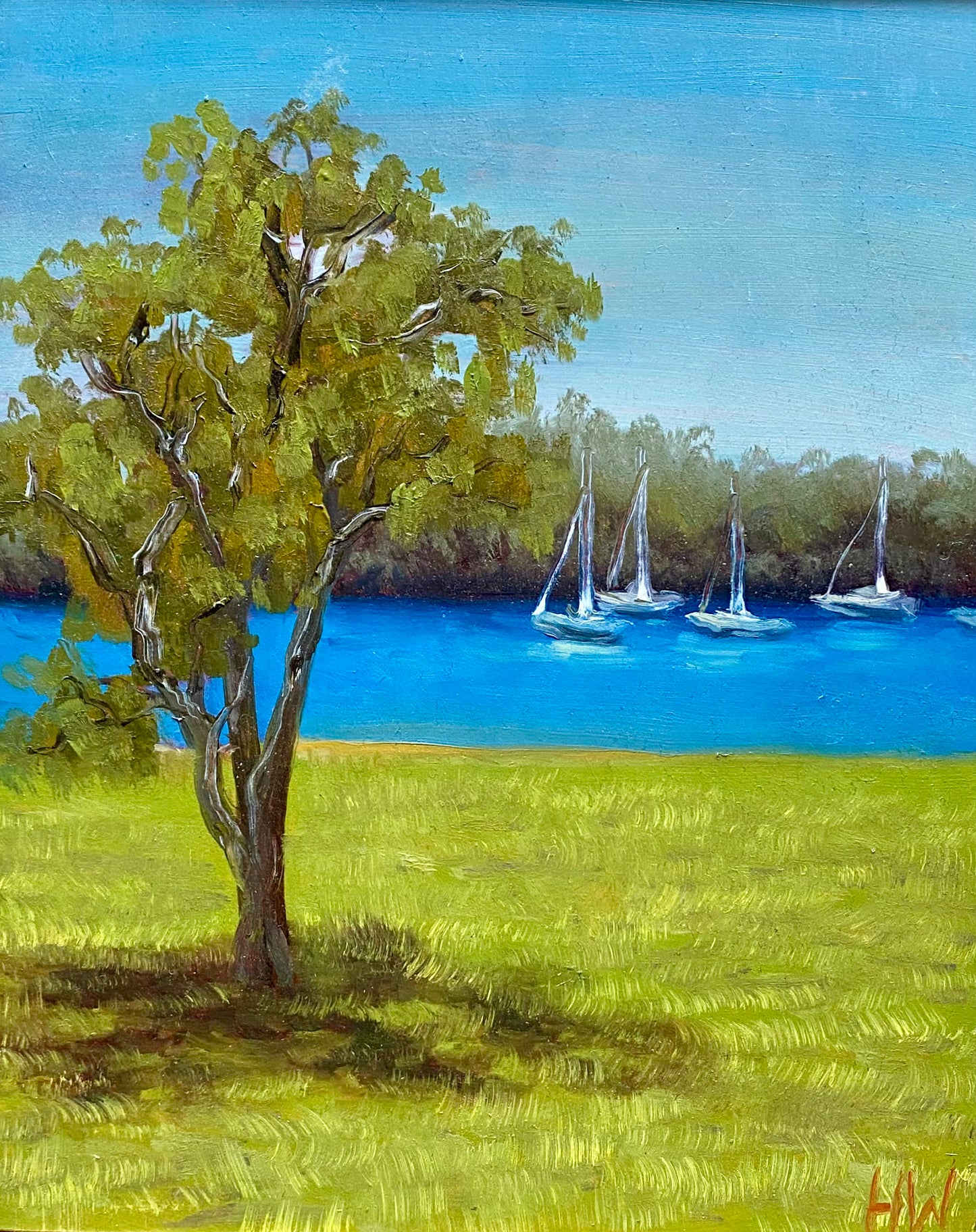Shimmering boats