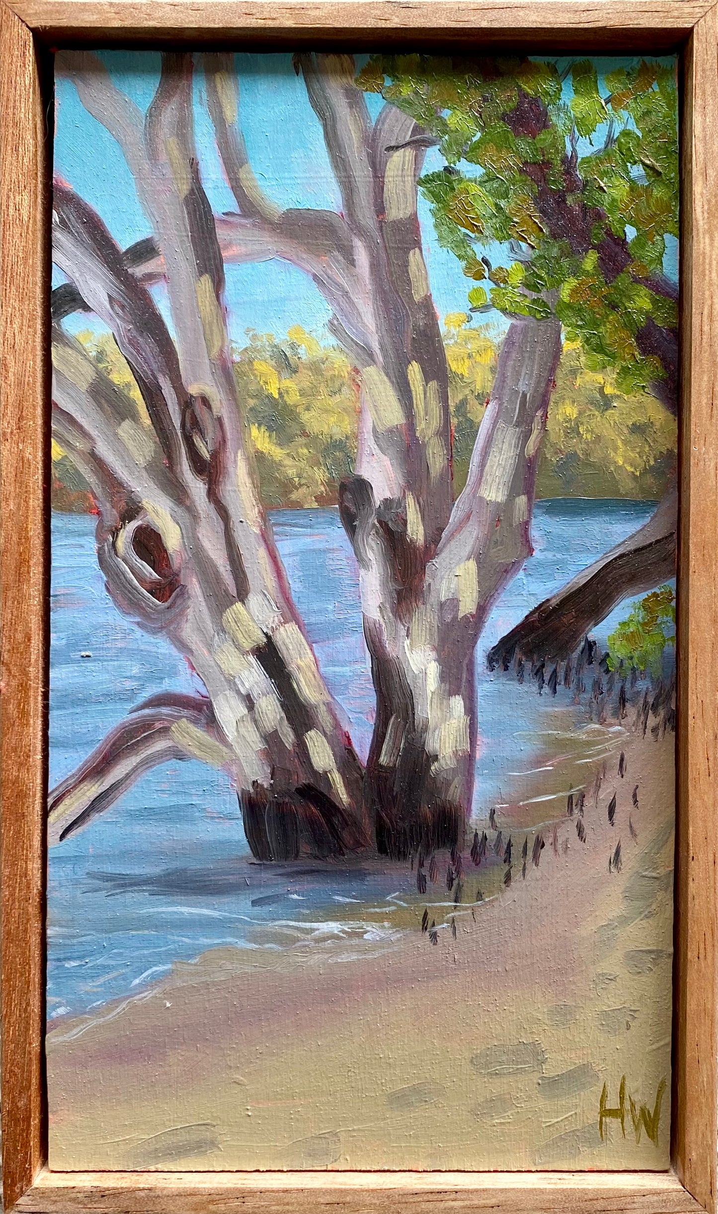 High Tide