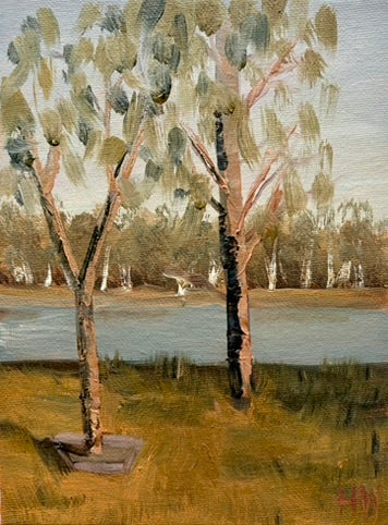 Haze, Heat, and the Last Light