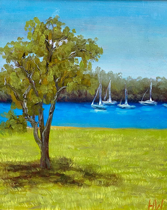 Shimmering boats