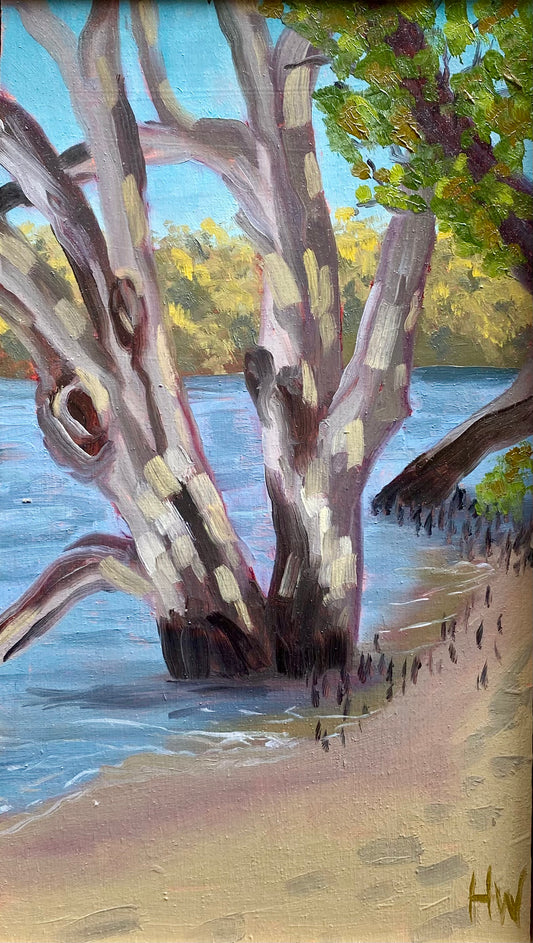 High Tide