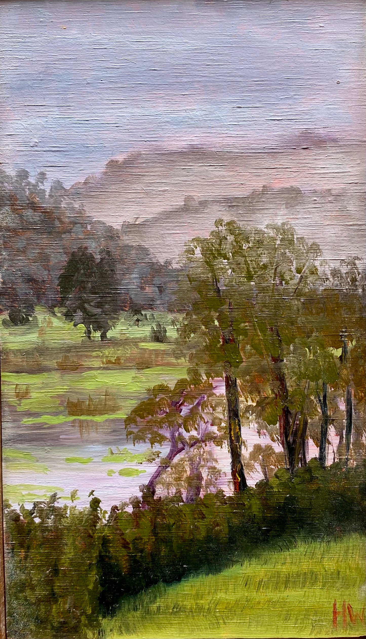 Colo River Pond