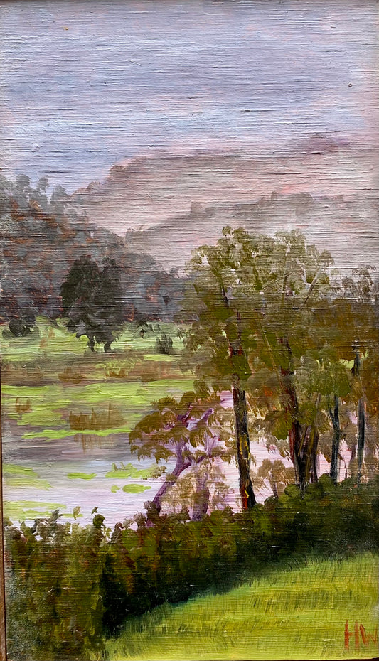 Colo River Pond