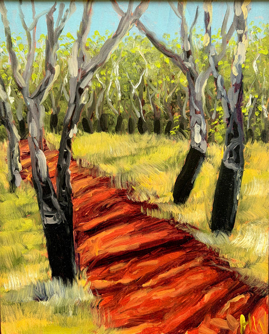 Canberran Cork Trees